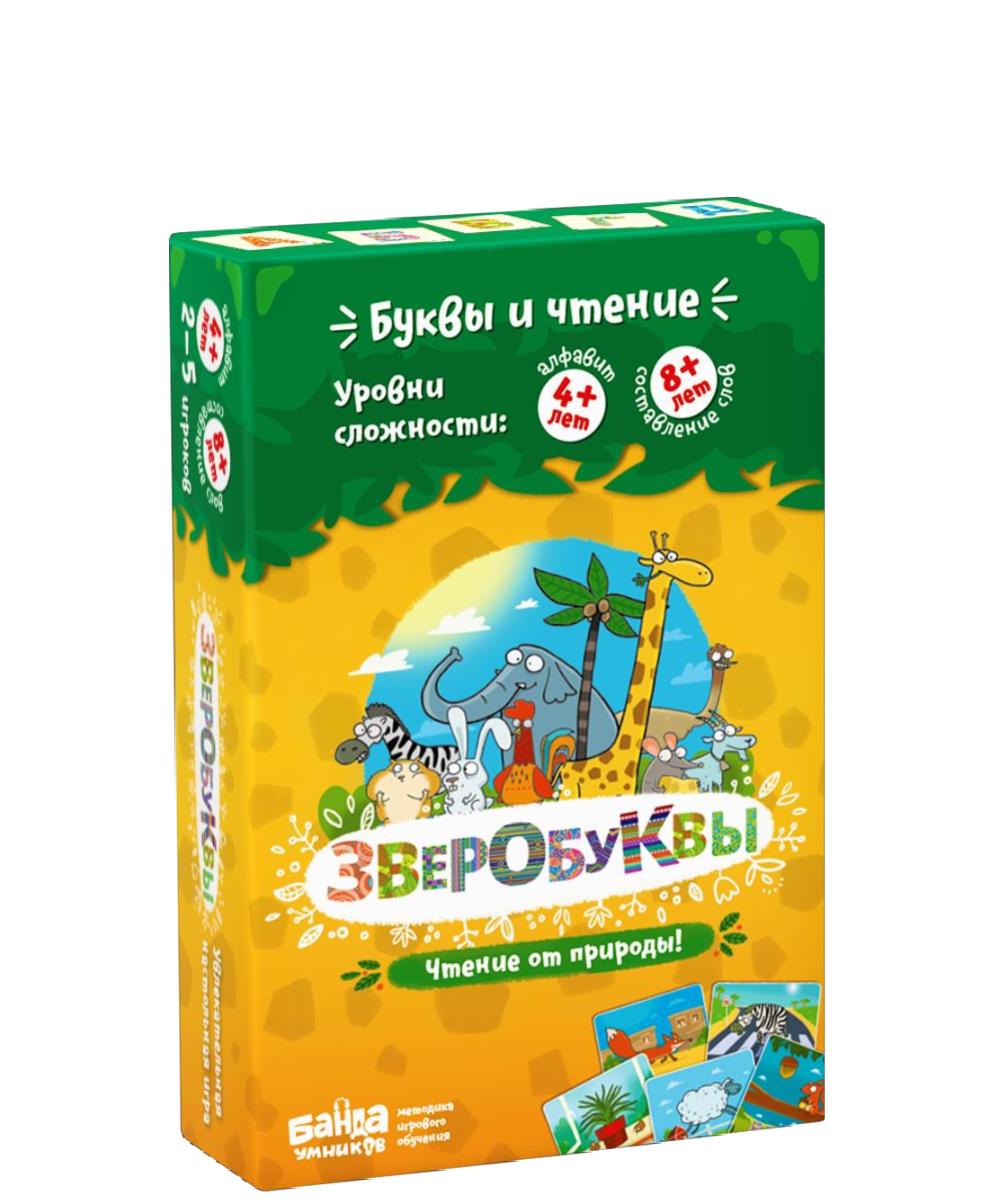 Зверобуквы